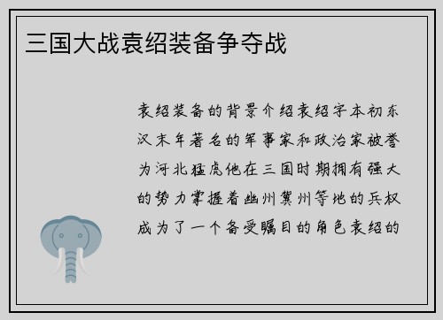 三国大战袁绍装备争夺战